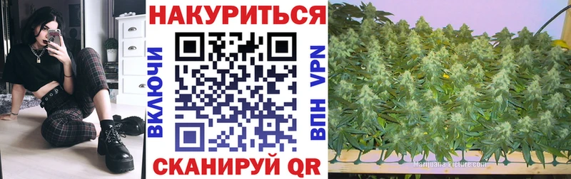 ГАШ Камешково